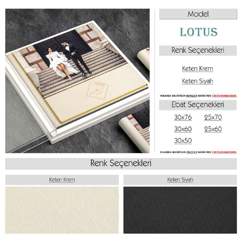 Lotus MODEL
